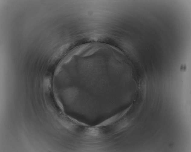 X0000112420127200908281847