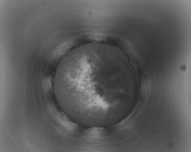 X0000112420128200908281847