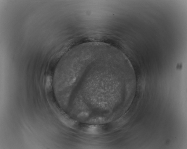 X0000112420130200908281847