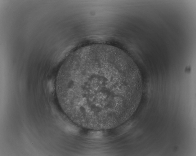 X0000112420131200908281847