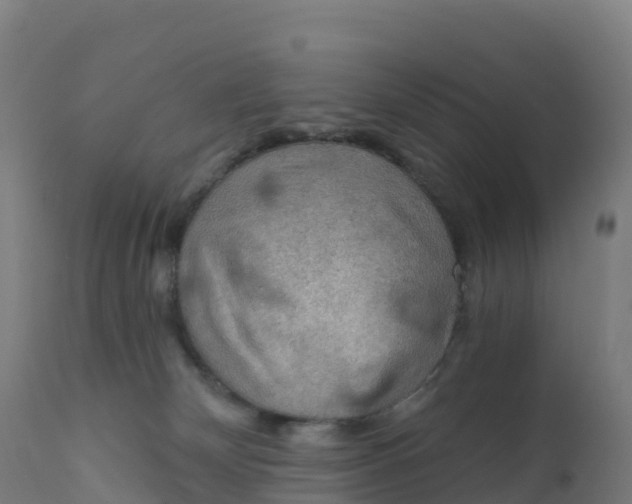 X0000112420132200908281847