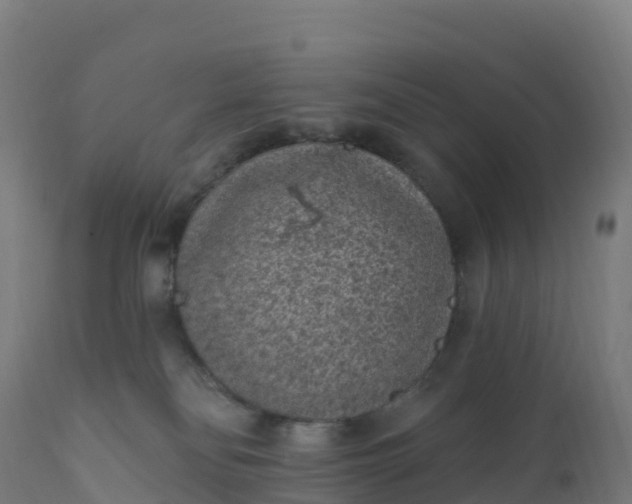 X0000112420134200908281847