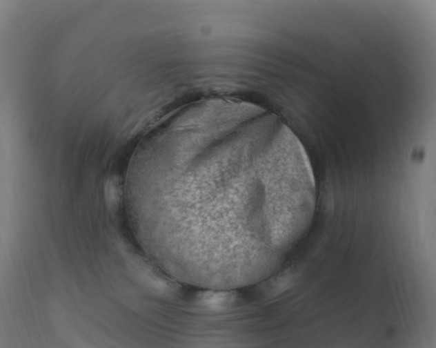 X0000112420135200908281847