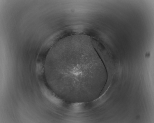 X0000112420136200908281847