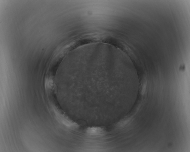 X0000112420137200908281847