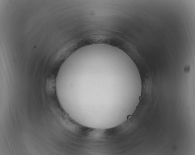 X0000112420138200908281847