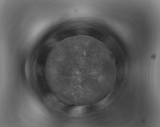 X0000112420140200908281847