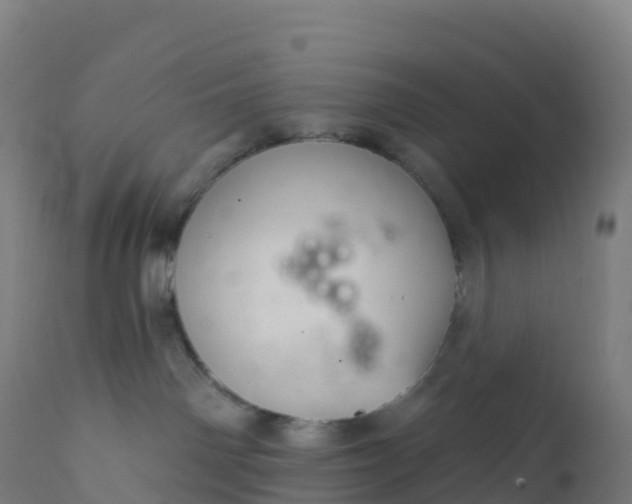 X0000112420142200908281847