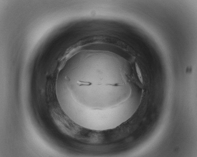 X0000112420143200908281847