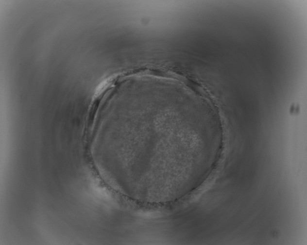 X0000112420144200908281847