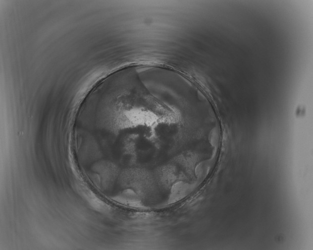 X0000112420145200908281846