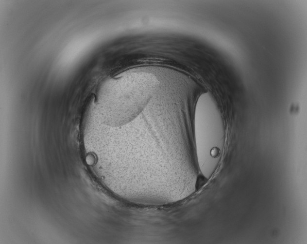 X0000112420146200908281846