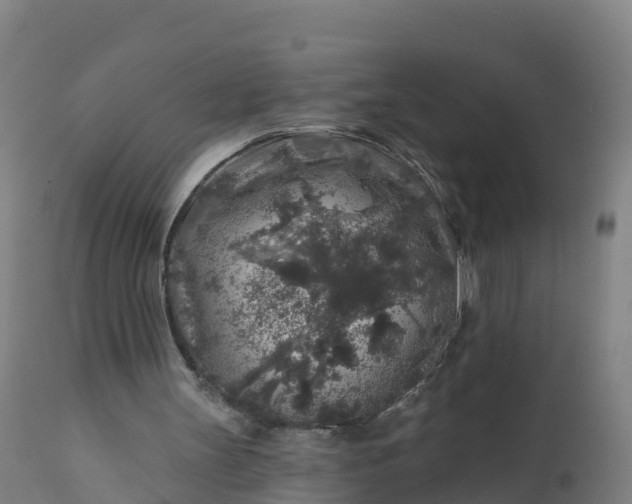 X0000112420147200908281846