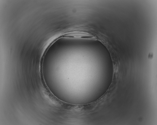 X0000112420148200908281846