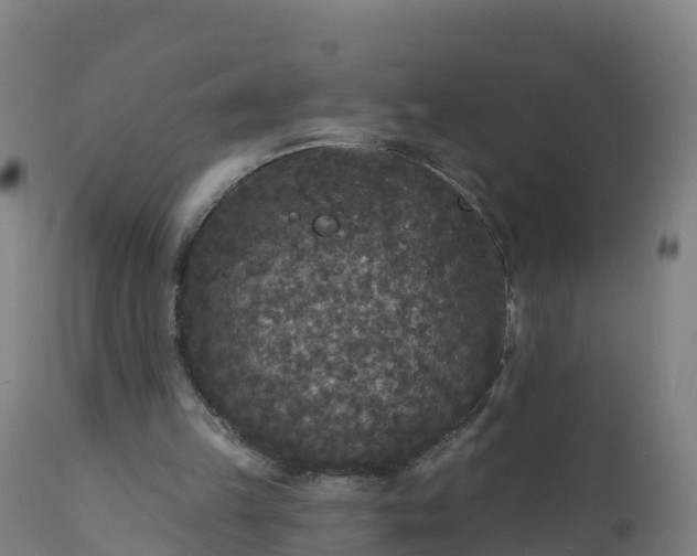 X0000112420149200908281846