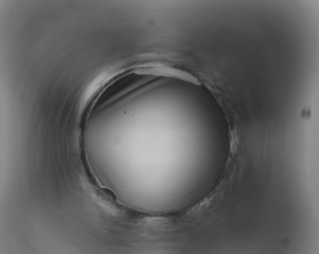 X0000112420150200908281846