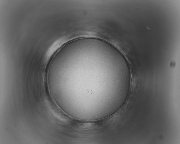 X0000112420151200908281846