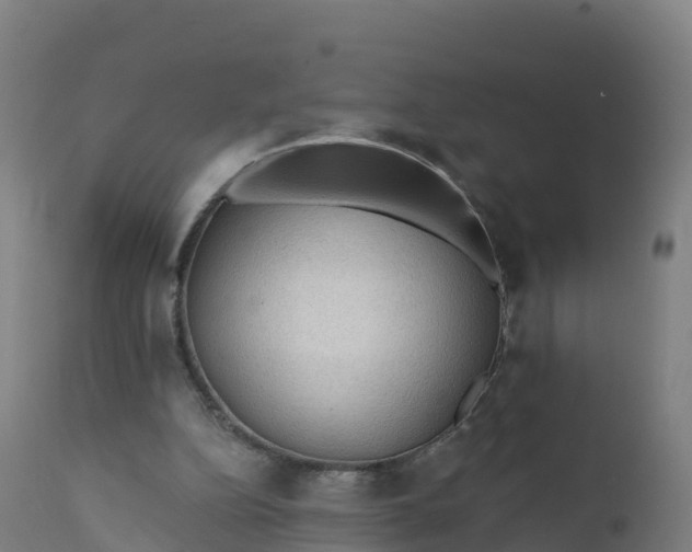 X0000112420152200908281846