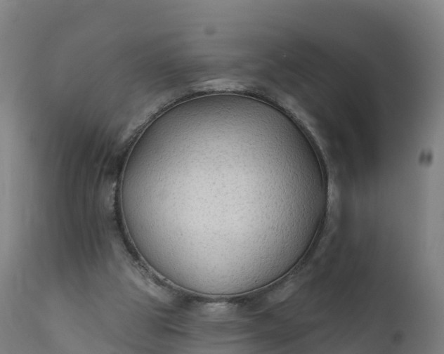 X0000112420153200908281846