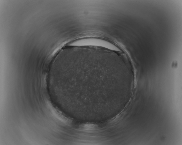 X0000112420154200908281846