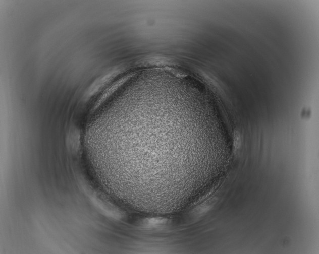 X0000112420158200908281846