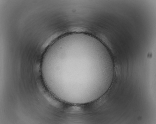 X0000112420159200908281847