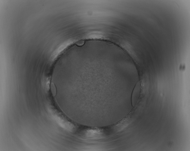 X0000112420160200908281847