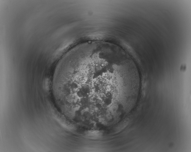 X0000112420161200908281847