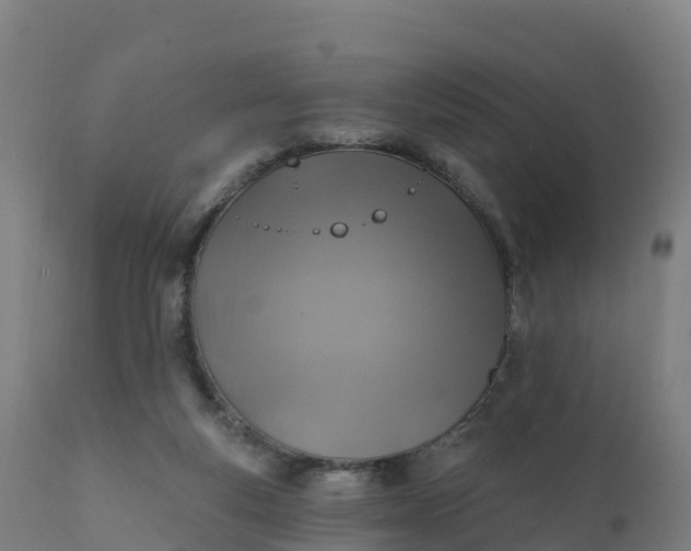 X0000112420163200908281847