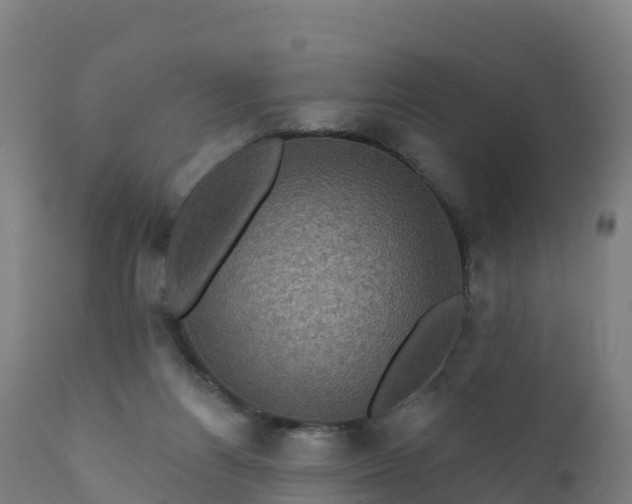 X0000112420164200908281847