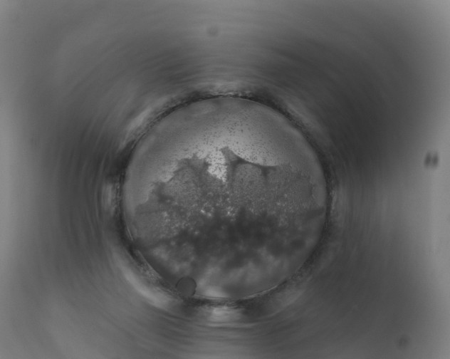 X0000112420165200908281847