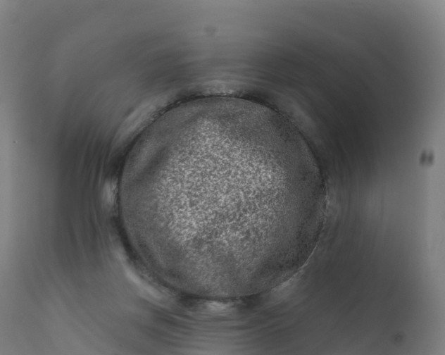 X0000112420166200908281847