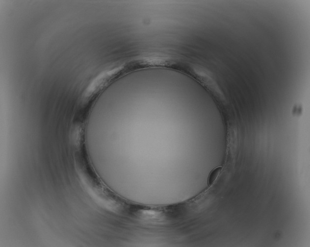 X0000112420167200908281847