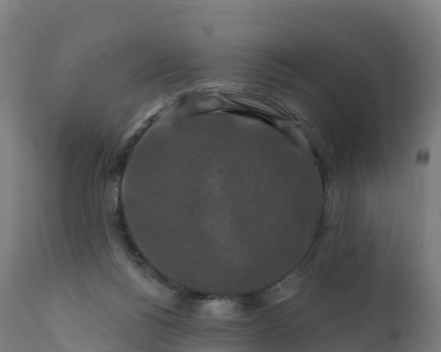 X0000112420168200908281847