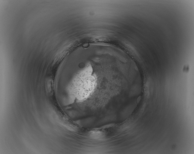 X0000112420169200908281847