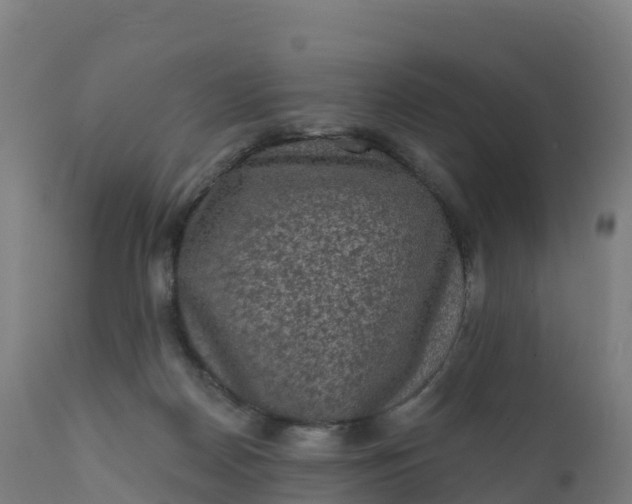 X0000112420170200908281847