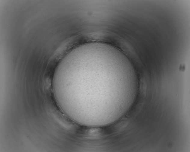 X0000112420173200908281847