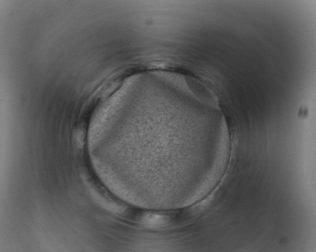 X0000112420174200908281847