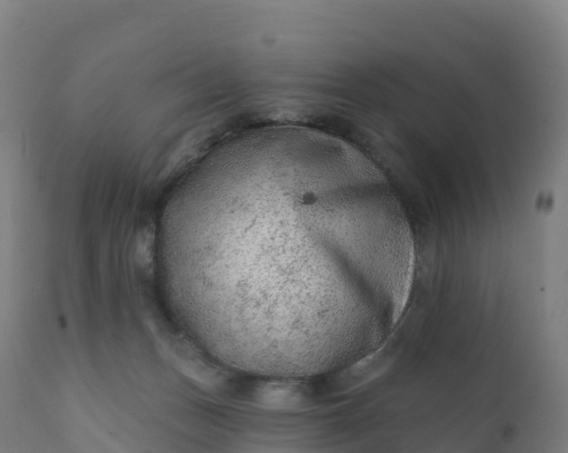 X0000112420175200908281847