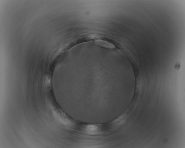 X0000112420176200908281847