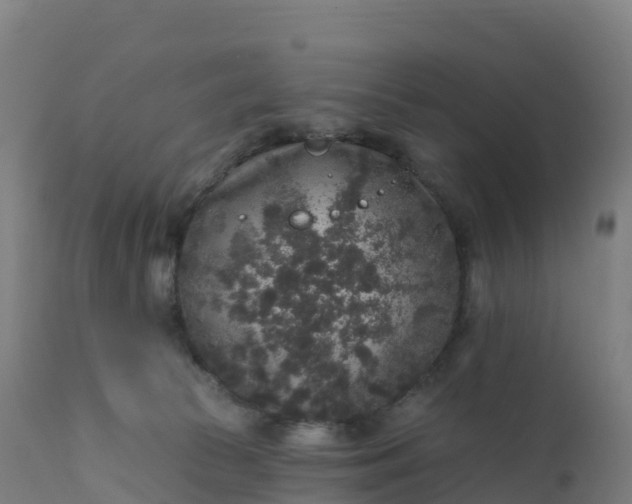 X0000112420177200908281847