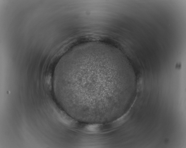 X0000112420178200908281847