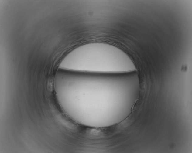 X0000112420180200908281847