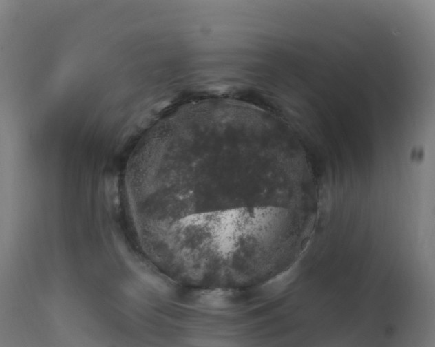 X0000112420182200908281847