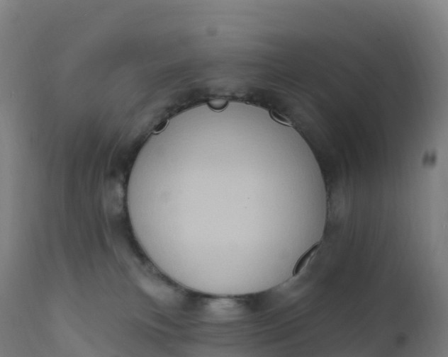 X0000112420183200908281847