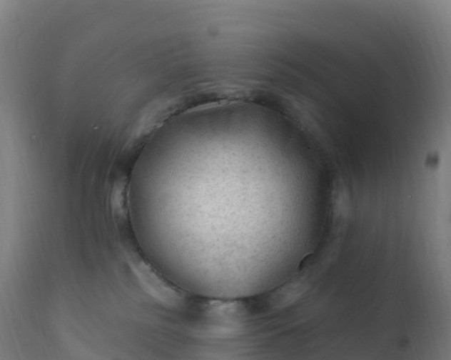 X0000112420185200908281847