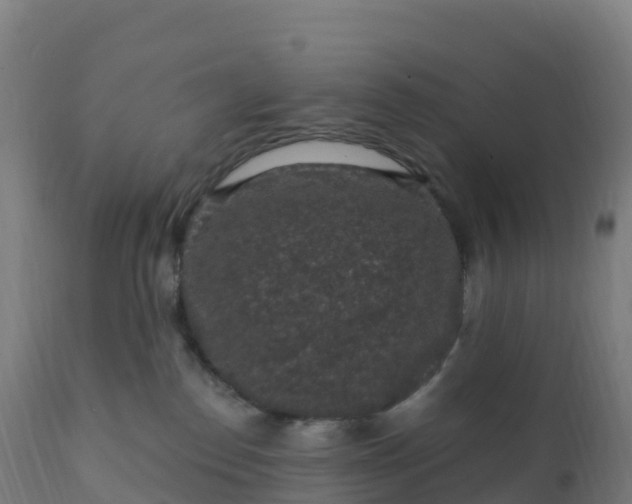 X0000112420186200908281847