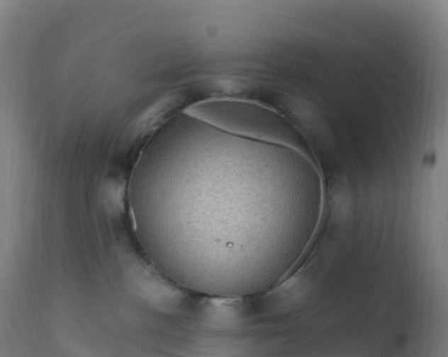 X0000112420188200908281847