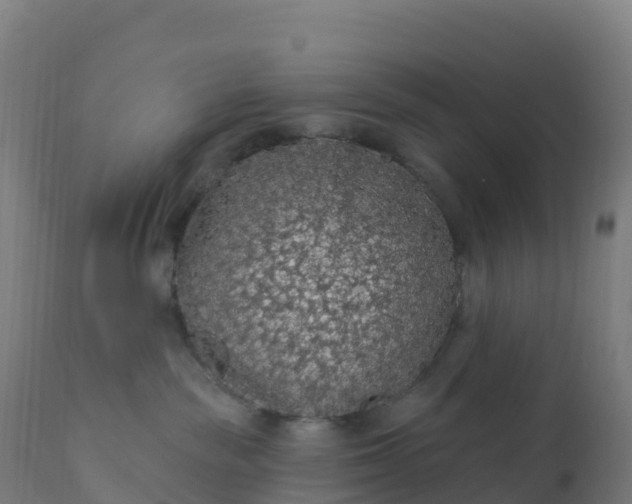 X0000112420189200908281847