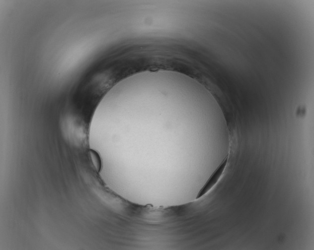 X0000112420191200908281847